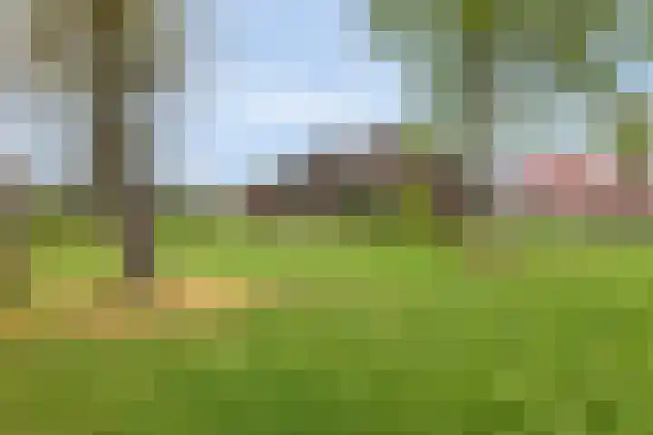 Koninginneweg 15 Vroomshoop thumbnail 45