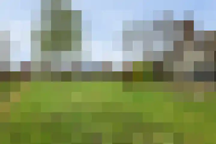 Koninginneweg 15 Vroomshoop thumbnail 46