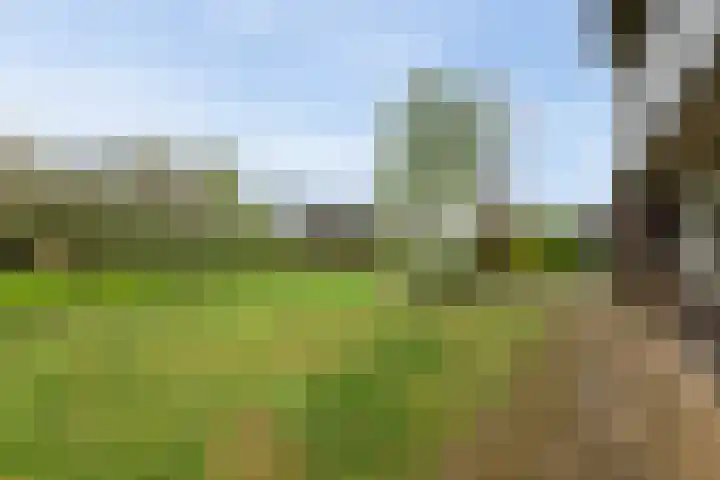 Koninginneweg 15 Vroomshoop thumbnail 47