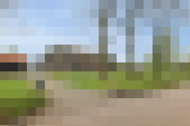 Koninginneweg 15 Vroomshoop thumbnail 49
