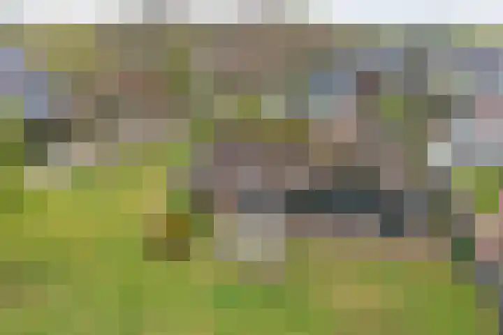 Koninginneweg 15 Vroomshoop thumbnail 5