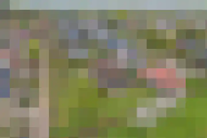Koninginneweg 15 Vroomshoop thumbnail 50
