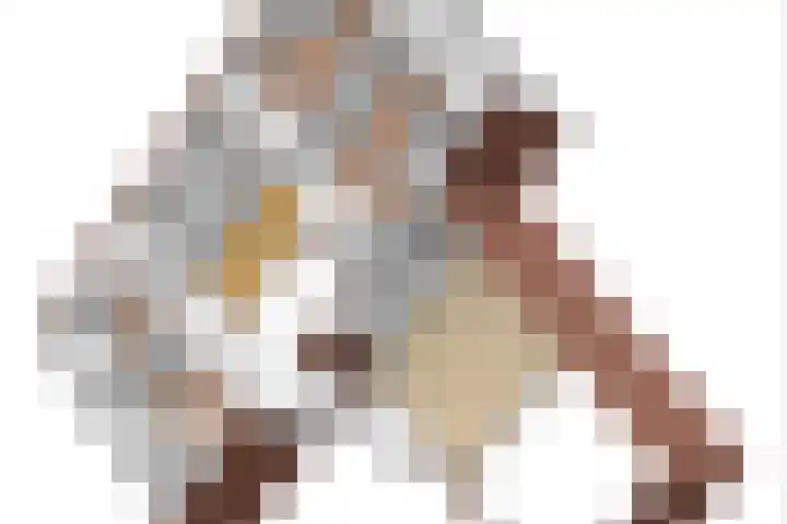 Koninginneweg 15 Vroomshoop thumbnail 54