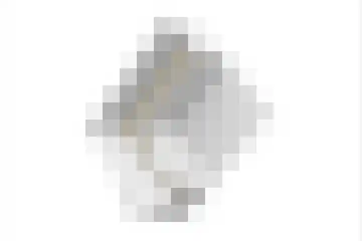 Koninginneweg 15 Vroomshoop thumbnail 56