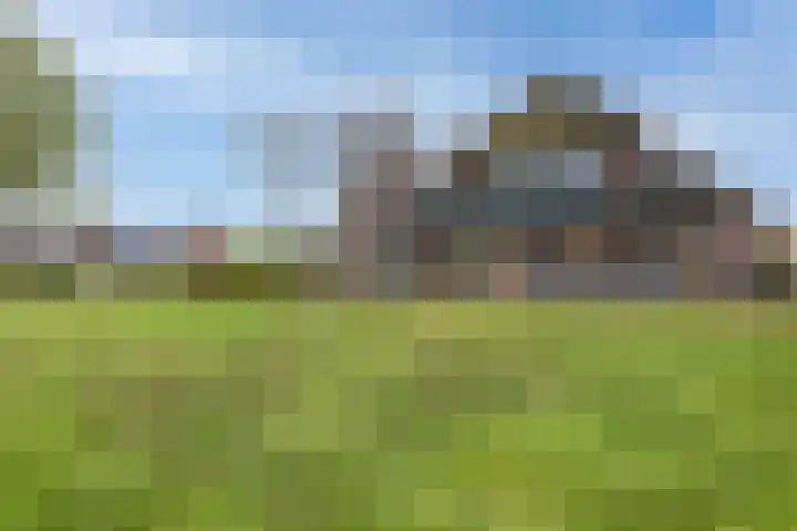 Koninginneweg 15 Vroomshoop thumbnail 6