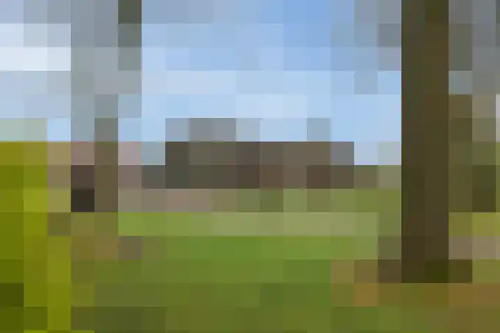 Koninginneweg 15 Vroomshoop thumbnail 7