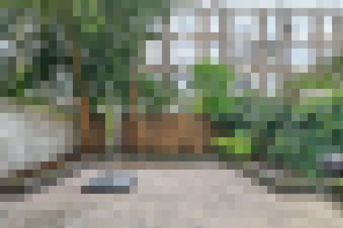 Koninginneweg 153 A Amsterdam thumbnail 7