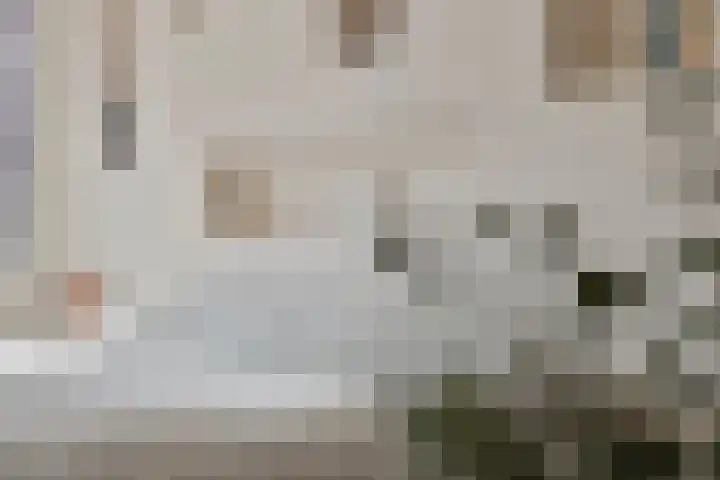 Koninginneweg 157 Rotterdam thumbnail 26