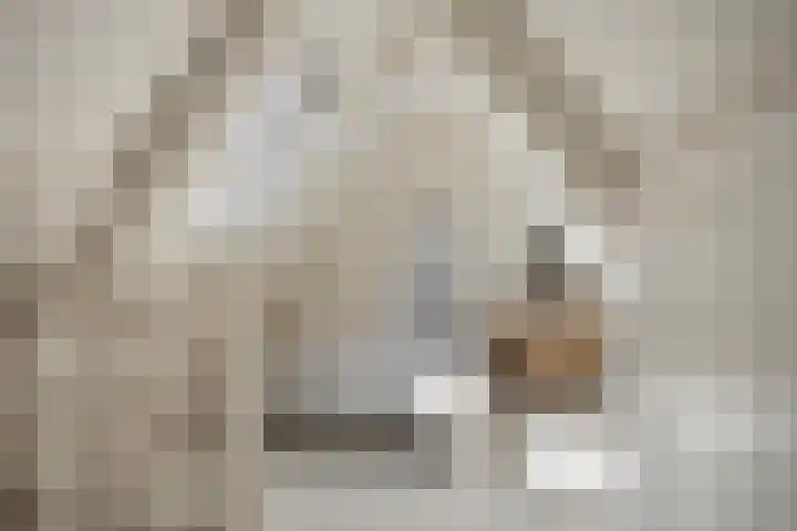 Koninginneweg 157 Rotterdam thumbnail 33