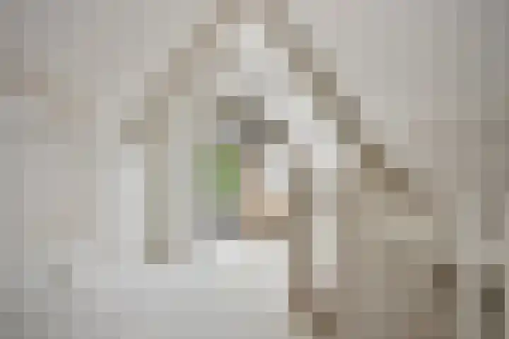 Koninginneweg 157 Rotterdam thumbnail 34