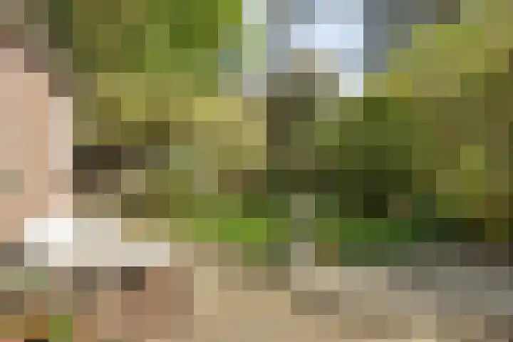 Koninginneweg 157 Rotterdam thumbnail 37