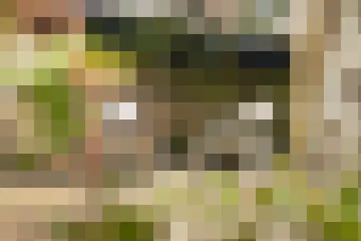 Koninginneweg 157 Rotterdam thumbnail 40