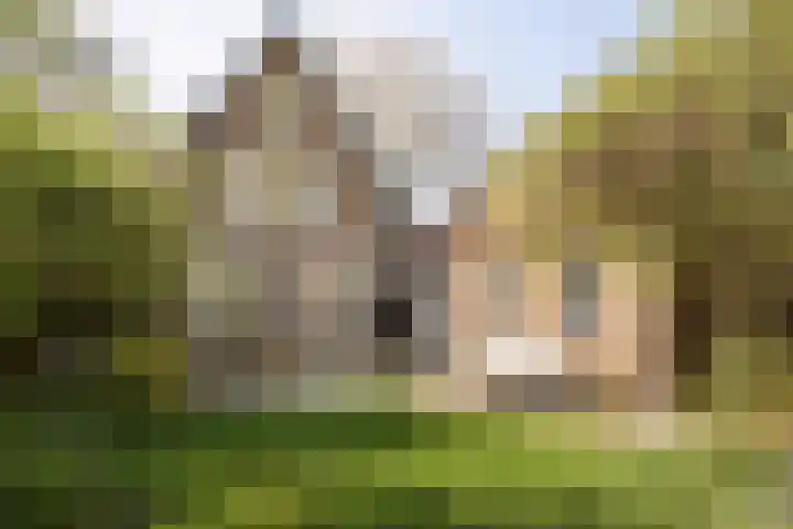 Koninginneweg 157 Rotterdam thumbnail 43