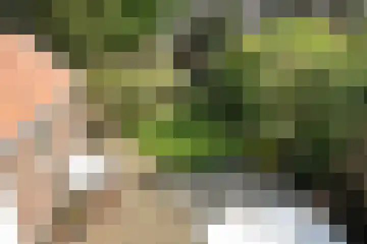 Koninginneweg 157 Rotterdam thumbnail 44