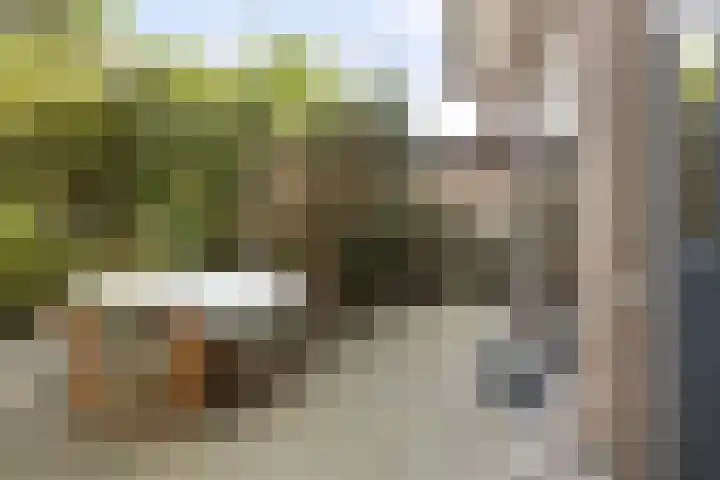 Koninginneweg 157 Rotterdam thumbnail 45