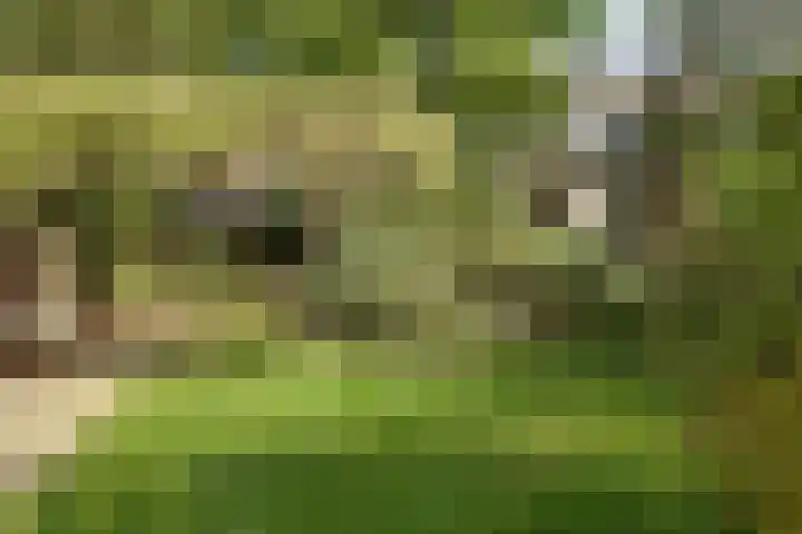 Koninginneweg 157 Rotterdam thumbnail 47