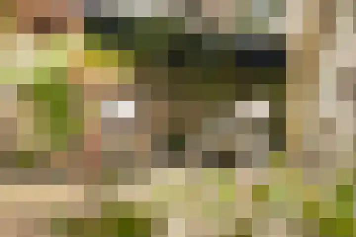 Koninginneweg 157 Rotterdam thumbnail 49