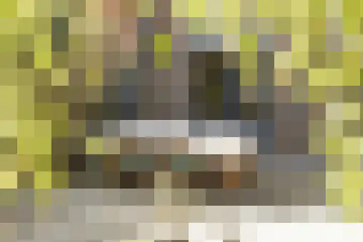 Koninginneweg 157 Rotterdam thumbnail 50