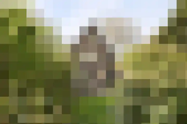 Koninginneweg 157 Rotterdam thumbnail 51