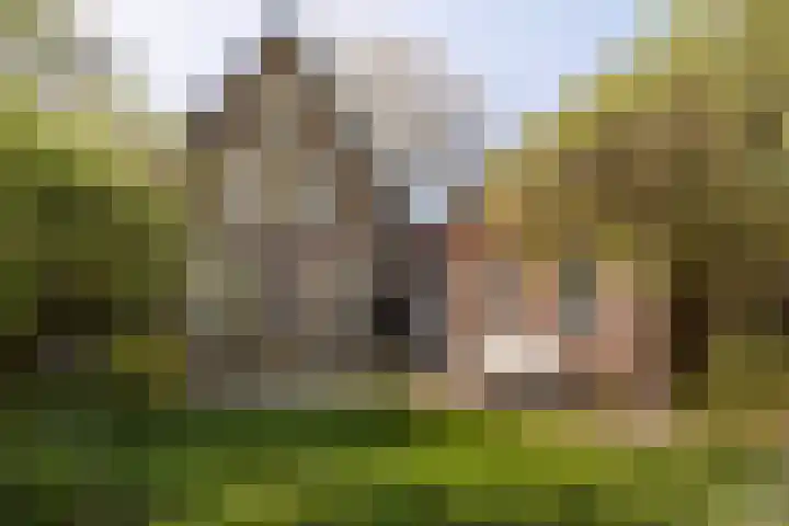 Koninginneweg 157 Rotterdam thumbnail 52