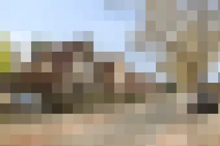 Koninginneweg 157 Rotterdam thumbnail 6