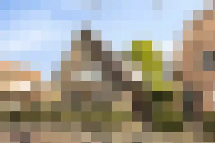 Koninginneweg 157 Rotterdam thumbnail 7