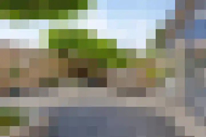 Koninginneweg 162 Bodegraven thumbnail 14