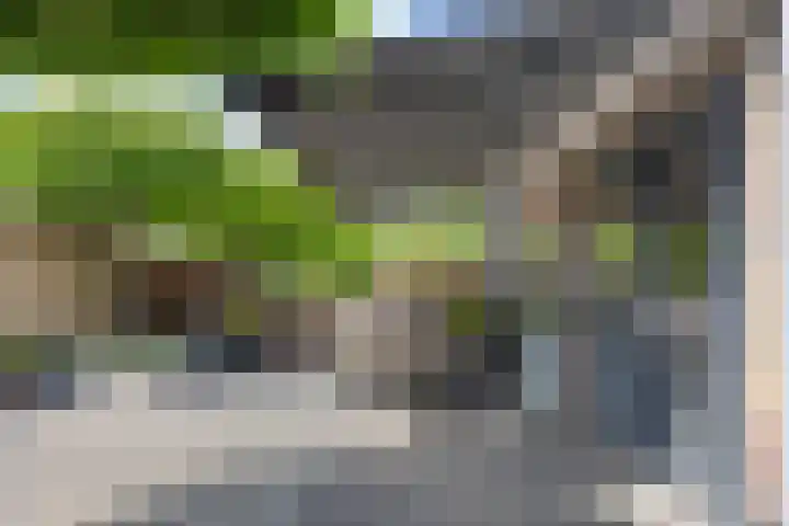 Koninginneweg 162 Bodegraven thumbnail 15