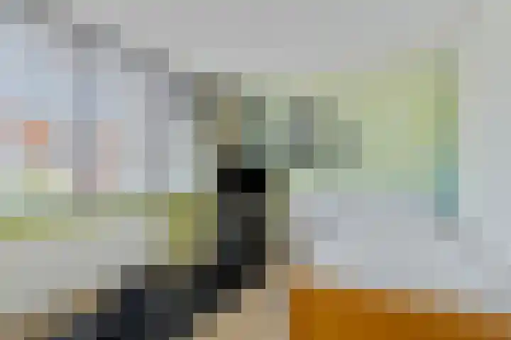 Koninginneweg 162 Bodegraven thumbnail 27