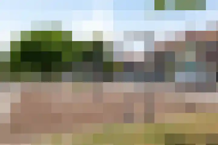 Koninginneweg 162 Bodegraven thumbnail 38