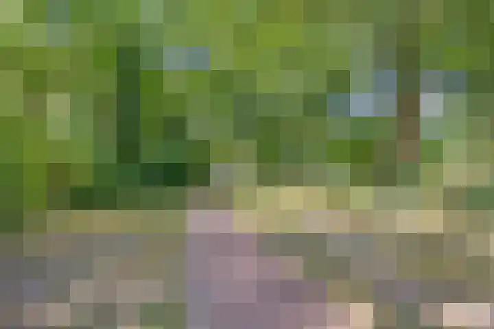 Koninginneweg 162 Bodegraven thumbnail 39