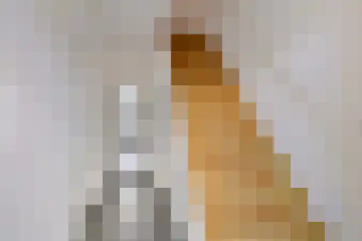 Koninginneweg 162 Bodegraven thumbnail 5