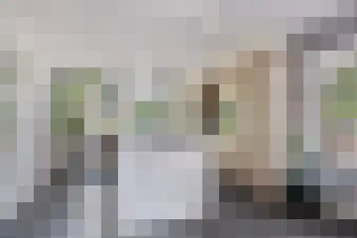 Koninginneweg 162 Bodegraven thumbnail 8