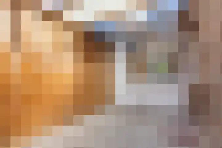 Koninginneweg 162 Rotterdam thumbnail 27