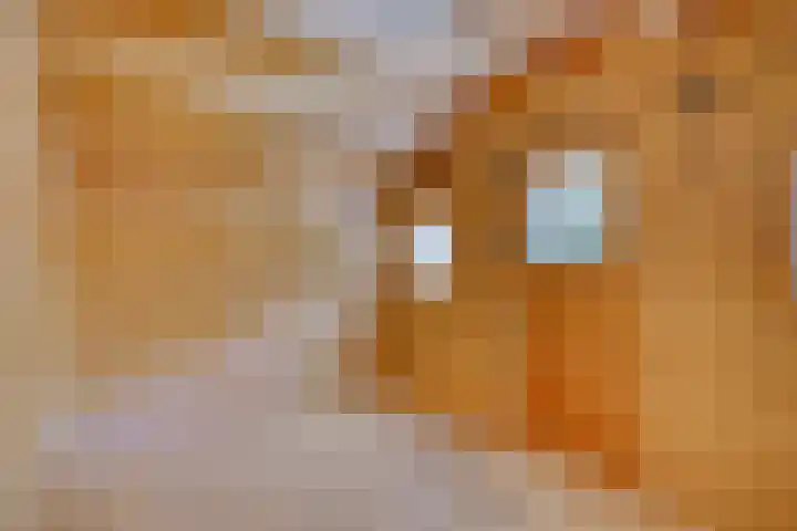 Koninginneweg 162 Rotterdam thumbnail 32