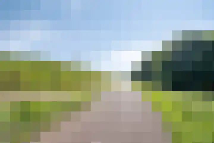 Koninginneweg 162 Rotterdam thumbnail 33