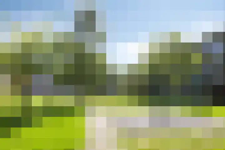 Koninginneweg 162 Rotterdam thumbnail 34