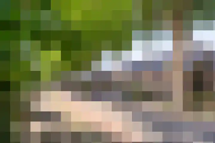Koninginneweg 162 Rotterdam thumbnail 4