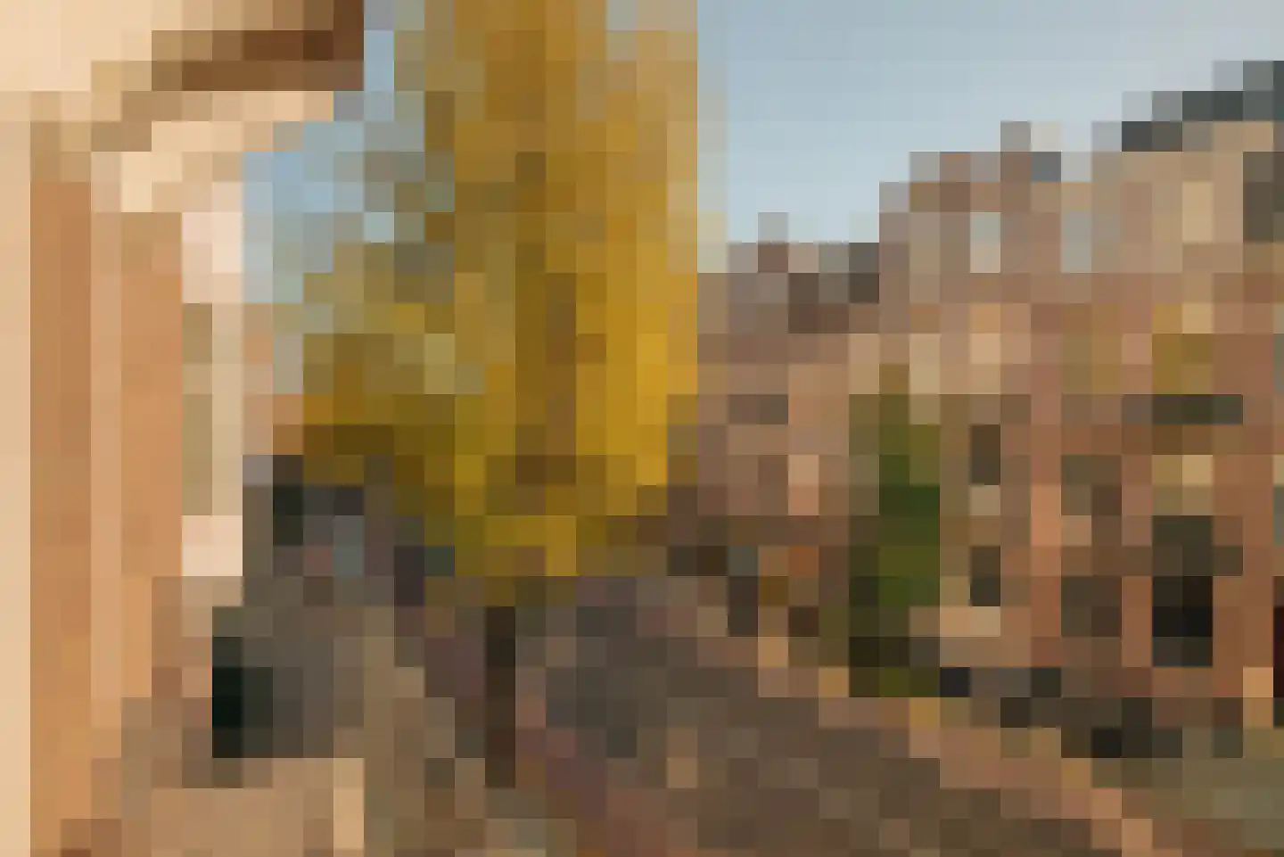 Koninginneweg 164 2 Amsterdam thumbnail 39