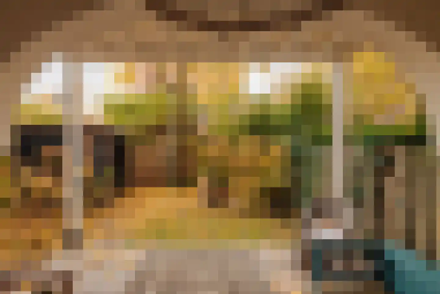 Koninginneweg 164 2 Amsterdam thumbnail 48