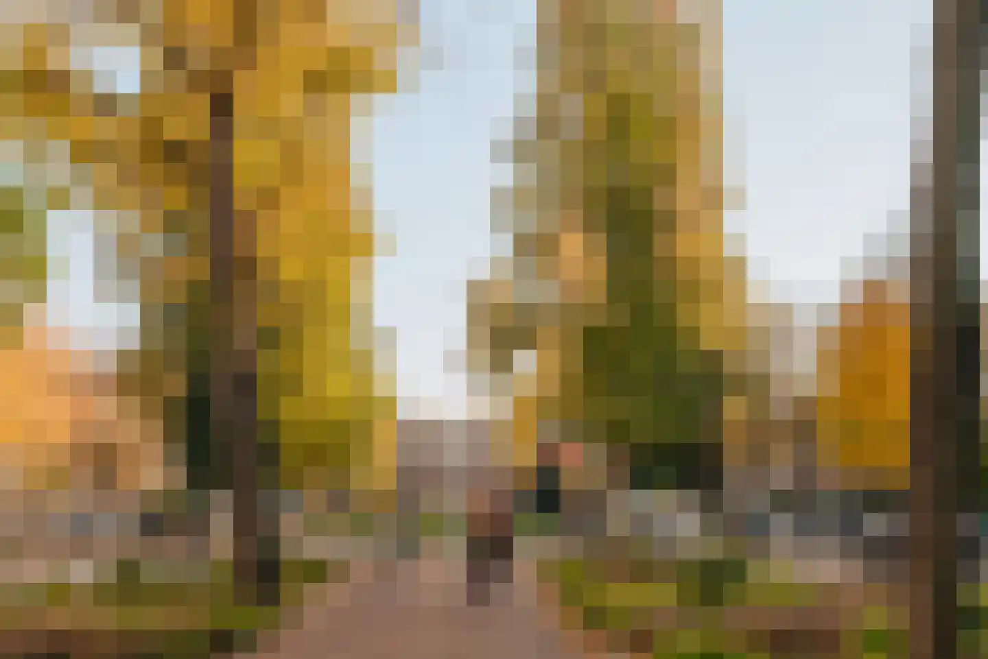 Koninginneweg 164 2 Amsterdam thumbnail 52