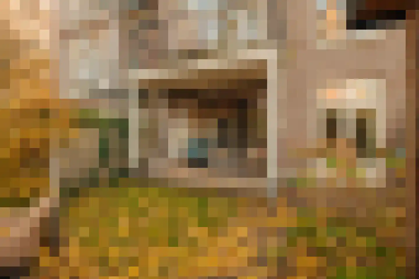 Koninginneweg 164 2 Amsterdam thumbnail 6