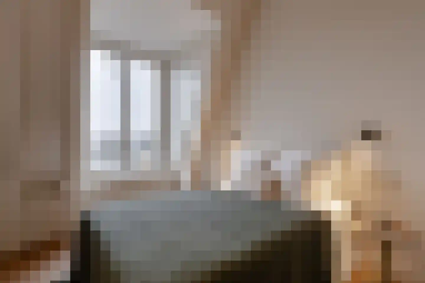 Koninginneweg 164 E Amsterdam thumbnail 16