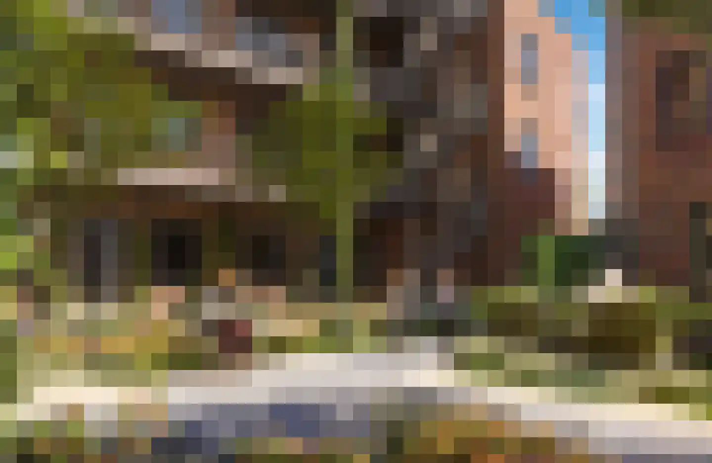 Koninginneweg 165 Zwijndrecht thumbnail 7