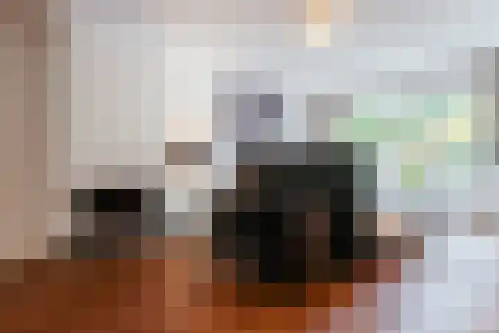 Koninginneweg 166 H Amsterdam thumbnail 18