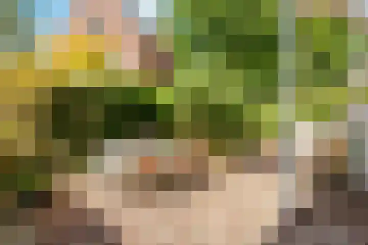 Koninginneweg 166 H Amsterdam thumbnail 23