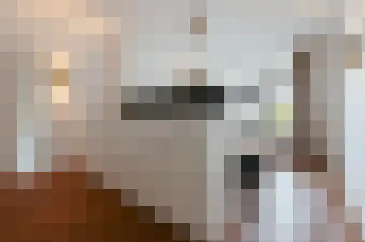Koninginneweg 166 H Amsterdam thumbnail 28