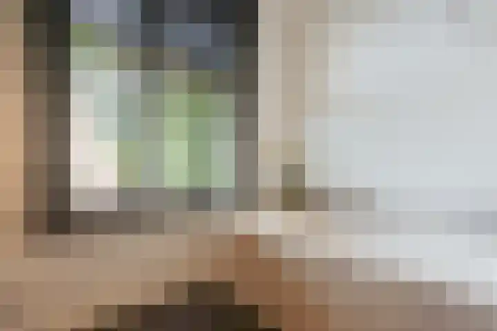Koninginneweg 166 H Amsterdam thumbnail 30