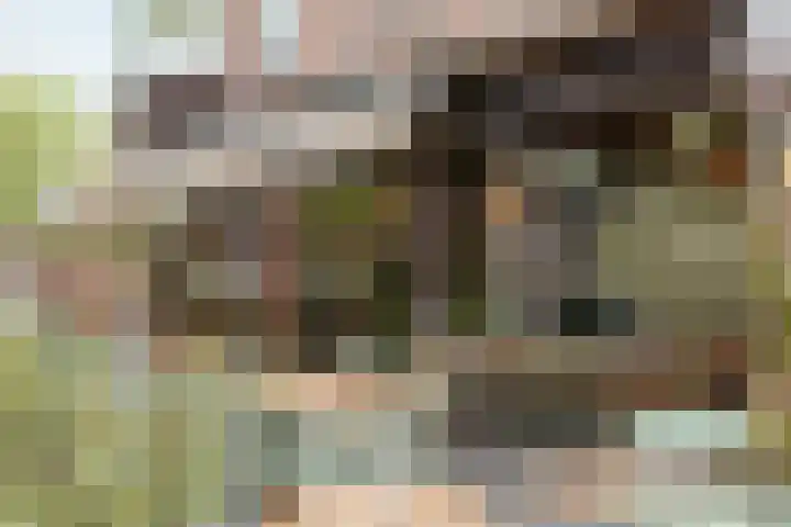 Koninginneweg 166 H Amsterdam thumbnail 38
