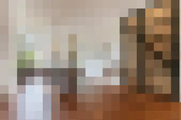 Koninginneweg 166 H Amsterdam thumbnail 7